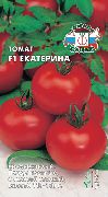 Екатерина F1 сорт томатов (помидоров)