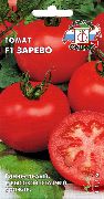 Зарево F1 сорт томатов (помидоров)