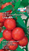 Санька сорт томатов (помидоров)