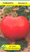 Фатима F1 сорт томатов (помидоров)