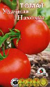 Удачная Находка сорт томатов (помидоров)