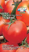 Татьяна сорт томатов (помидоров)