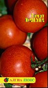 Юлиана сорт томатов (помидоров)