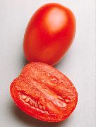 Гваделетте 312 F1 сорт томатов (помидоров)