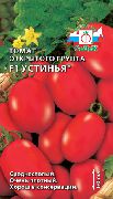 Устинья F1 сорт томатов (помидоров)