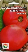 Бабушкин секрет сорт томатов (помидоров)