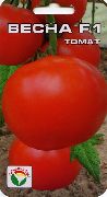 Весна F1  сорт томатов (помидоров)