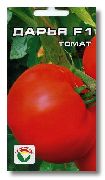 Дарья  F1  сорт томатов (помидоров)