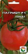 Патриот F1  сорт томатов (помидоров)