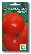 Шехерезада сорт томатов (помидоров)