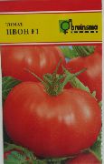 Ивон f1 сорт томатов (помидоров)