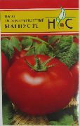 Магнус f1 сорт томатов (помидоров)