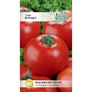 Юранд F1 сорт томатов (помидоров)