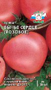 помидоры Бычье сердце розовое фото поздние (более 120 дней) сорт, выращивание, посадка и уход, рассада, купить Бычье сердце розовое семена
