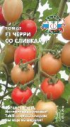 Черри со Сливками F1 сорт томатов (помидоров)