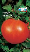 Ероха F1 сорт томатов (помидоров)
