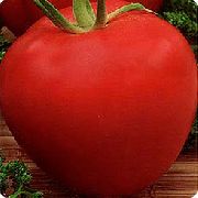 Настюша сорт томатов (помидоров)