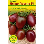 Негро Прагна F1 сорт томатов (помидоров)