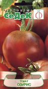 Озирис сорт томатов (помидоров)