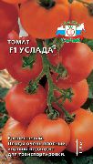 Услада F1 сорт томатов (помидоров)