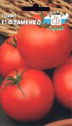 Фламенко F1 сорт томатов (помидоров)