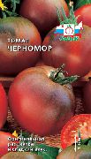 Черномор сорт томатов (помидоров)