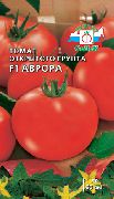 Аврора F1 сорт томатов (помидоров)
