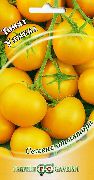 Улыбка сорт томатов (помидоров)