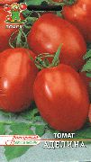 Аделина сорт томатов (помидоров)