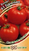 Гармония F1 сорт томатов (помидоров)