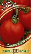 Опера F1 сорт томатов (помидоров)