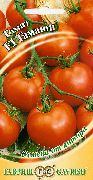 Гамаюн F1 сорт томатов (помидоров)