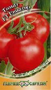 Евпатор F1 сорт томатов (помидоров)