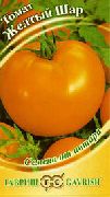 Желтый шар сорт томатов (помидоров)