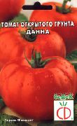 Данна сорт томатов (помидоров)