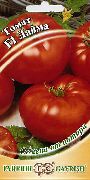 Лайма F1  сорт томатов (помидоров)