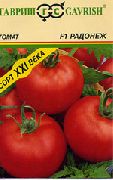 Радонеж F1 сорт томатов (помидоров)