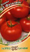 Фаталист F1 сорт томатов (помидоров)