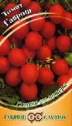 Гаврош сорт томатов (помидоров)