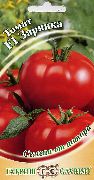 Зарянка F1 сорт томатов (помидоров)