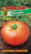 Огородник сорт томатов (помидоров)