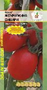 Жемчужина Сибири сорт томатов (помидоров)