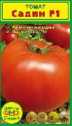 Садин F1  сорт томатов (помидоров)