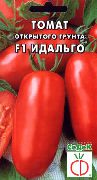 Идальго F1 сорт томатов (помидоров)