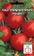 Изида сорт томатов (помидоров)