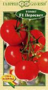 Пересвет F1 сорт томатов (помидоров)