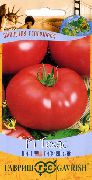 Техас сорт томатов (помидоров)