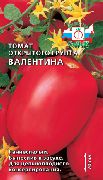 Валентина сорт томатов (помидоров)
