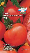 Гея сорт томатов (помидоров)