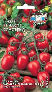 Настя-Сластёна F1 сорт томатов (помидоров)